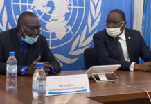 Centrafrique: Michel Djoyodia reçu par le Représentant spécial des Nations Unies à Bangui, Mankeur Ndiaye