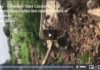 Vidéo - Cimetière Saint Lazare: Le mur s'effondre sous l'effet des rafales de vent et de la pluie