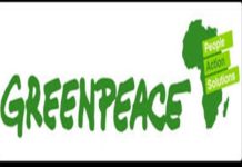 Greenpeace Afrique à Alioune Ndoye: « Trouver des lacunes juridiques pour accorder des licences aux navires étrangers est contraire à l'éthique »