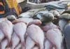 Abdoulaye Diouf Sarr : «La maladie n’est pas contagieuse, les Sénégalais peuvent manger du poisson»