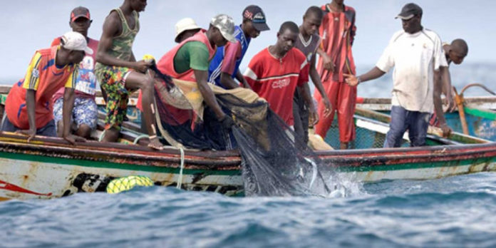 Guéris de leur mal mystérieux : Les pêcheurs retournent en mer