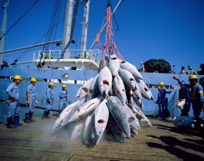 Accord avec l’Ue : Le Sénégal permet à l’Europe de pêcher des tonnes de poissons dans ses eaux