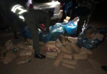 Trafic de Drogue: La gendarmerie saisit 200 kilos de chanvre