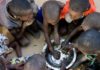 Plus de 516 000 Sénégalais menacés de famine