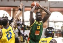 Les Lions officiellement qualifiés à l'Afrobasket 2021