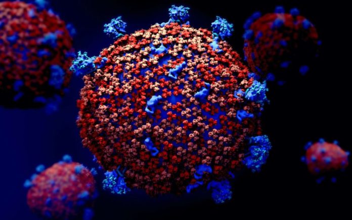 Coronavirus: 5 décès, 121 nouvelles infections et 28 cas graves