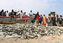 Pêche : Un conseil présidentiel prévu au mois de mai
