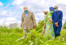 INITIATIVE MAJEURE DE MACKY SALL : désormais, femmes et jeunes agriculteurs peuvent s’équiper sans débourser un franc