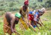 Production agricole : L’accès au foncier demeure un frein pour les femmes