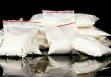 Trafic de drogue : le Pablo Escobar de Dagana arrêté chez lui