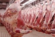 Hausse du prix de la viande de bœuf et de Mouton : Le kilo passe de 3500 à 5000f