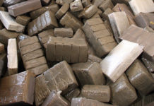 Trafic de drogue : La Marine sénégalaise saisit une importante quantité de haschisch