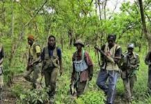 Opération de sécurisation en Casamance : L’Armée sénégalaise récupère cinq bases du MFDC