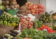Kaolack/ Commercialisation des produits agricoles: Une nécessité de redynamiser le cadre national, évoquée
