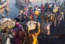 Accords de pêche Gambie-Sénégal: L’Assemblée nationale gambienne demande leur suspension