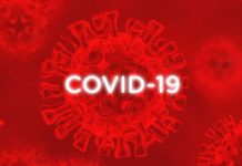 Surveillance de la Covid-19: Les variants les plus présents au Sénégal, selon l’Institut Pasteur de Dakar