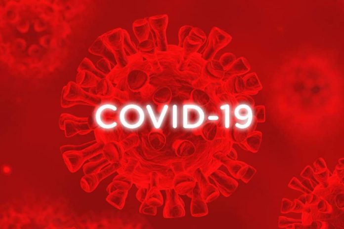 Surveillance de la Covid-19: Les variants les plus présents au Sénégal, selon l’Institut Pasteur de Dakar