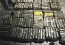 Trafic de drogue: Une cargaison interceptée à la baie de Soumbédioune