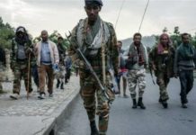 Éthiopie : le « Gouvernement du Tigré » pose ses conditions pour un cessez-le-feu