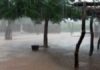 Météo: Des activités pluvio-orageuses prévues sur la Casamance et le Sine-Saloum
