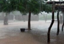 Météo: Des activités pluvio-orageuses prévues sur la Casamance et le Sine-Saloum