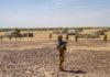 Nouvelle attaque dans l'ouest du Niger: au moins 37 civils tués
