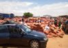 Les paysans de la zone des Niayes dans le désarroi: Le cri du cœur d’un citoyen à l’endroit du Président Macky Sall