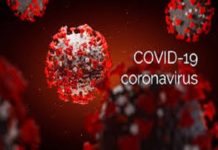 Solution pour rompre la chaîne de mutation du Covid-19: Le remède de Pr. Daouda Ndiaye