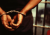 Pikine : Quatre individus détenant de faux certificats de domicile arrêtés