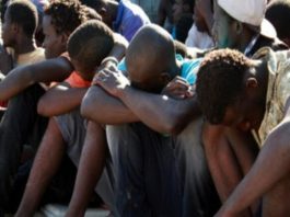 Cri de détresse: 81 Sénégalais bloqués à Dakhla depuis un mois
