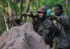 Accrochage avec le MFDC en Gambie: Les Jambaars dans un guet-apens, une opération rebelle bien planifiée