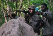 Accrochage avec le MFDC en Gambie: Les Jambaars dans un guet-apens, une opération rebelle bien planifiée