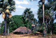 Parc de la Basse Casamance : le processus de réouverture enclenché pour 700 millions f CFA