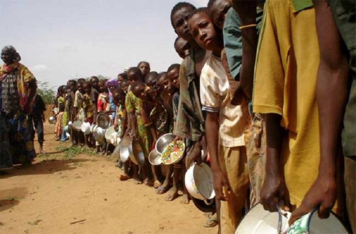 La Covid-19 a accentué la malnutrition en Afrique (PAM)