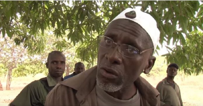Casamance : L’armée fait tomber une base rebelle de Salif Sadio