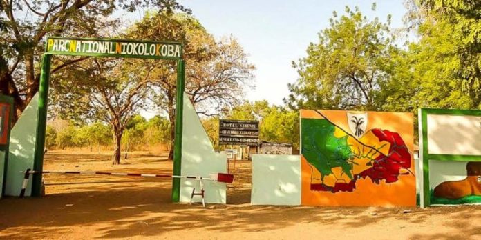 L’adjoint du chef du parc Niokolo Koba arrêté