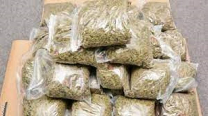 Trafic de drogue sur l’axe Diaobé – Bounkiling : Un soudeur métallique interpellé avec cinq boulettes de haschich et 70 kg de “yamba