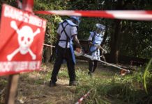 Casamance: 672 personnes tuées par les mines (CNAMS)