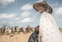 COP15 à Abidjan: changer les pratiques agricoles pour réduire la désertification