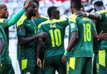 Mondial 2022 : pourquoi les Lions ne joueront pas un match amical en juin
