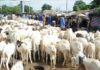 Tabaski 2022 : Le Mali ouvre ses frontières pour le bétail à destination du Sénégal et de la Côte d’Ivoire