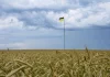Céréales: l'Ukraine espère reprendre ses exportations «dès cette semaine»