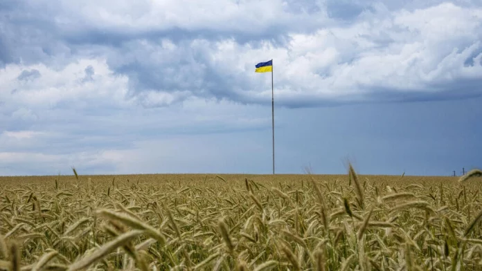 Céréales: l'Ukraine espère reprendre ses exportations «dès cette semaine»