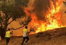 Le nord de l'Algérie meurtri par des incendies dans plusieurs villes