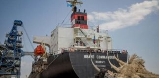 Ukraine: départ du premier navire de l'ONU chargé de céréales pour l'Afrique