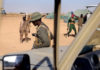 Mali : Le bilan de l’attaque du camp de Tessit passe de 17 à 42 militaires tués