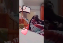 Adamo publie une vidéo intime de Diéyla Gueye et Dane