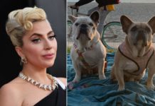 Six ans de prison pour un deuxième ravisseur des chiens de Lady Gaga