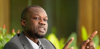 Attaques contre Youssou Ndour : Sonko lynché sur les réseaux sociaux