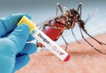 Des cas de dengue recensés à Dakar et dans plusieurs régions
